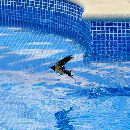 Stella Hébergement de vacances *