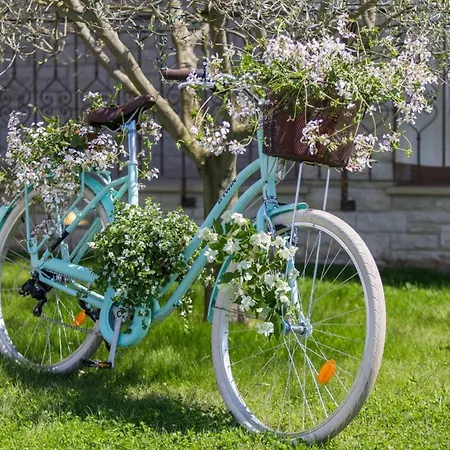 Stella Prázdninový dům